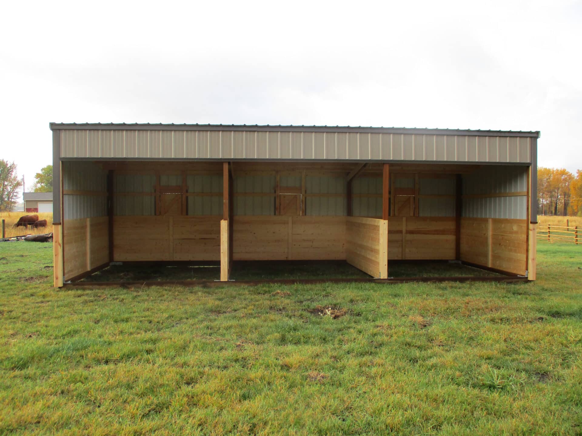 Equine Shelter | Portable Horse Run-in Sheds built in MT