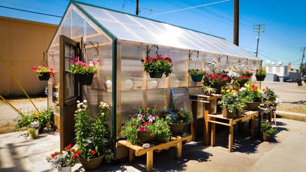 Portable greenhouse with plants