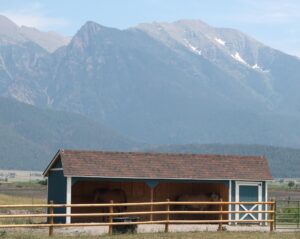 Horse Barn With Mountains in Montana