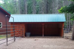 Should Horses Have Shelter in the Winter? | Montana, Idaho and Wyoming