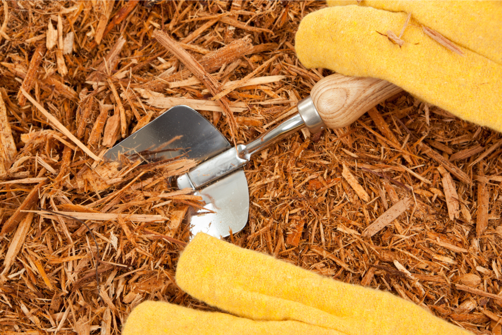 hand trowel for grennhouses inmt