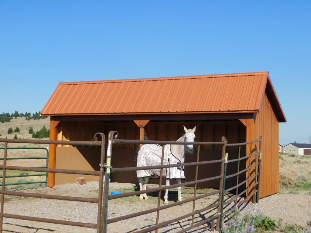 horse barn with paddock
