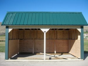 Horse Run in Shed