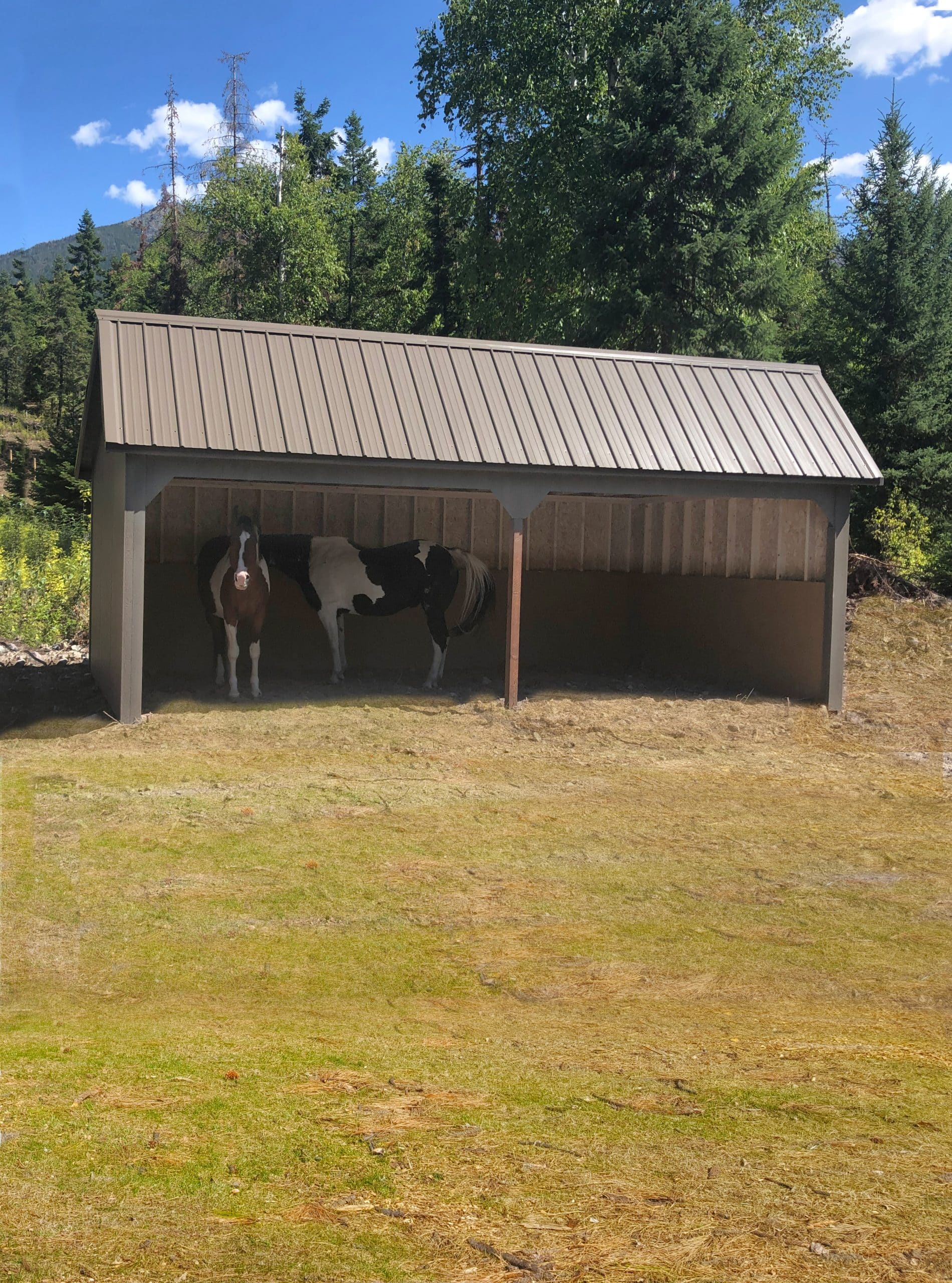 Portable Horse Shelters On Skids