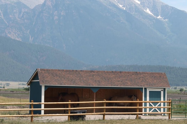 Philips Montana Run-in Shed