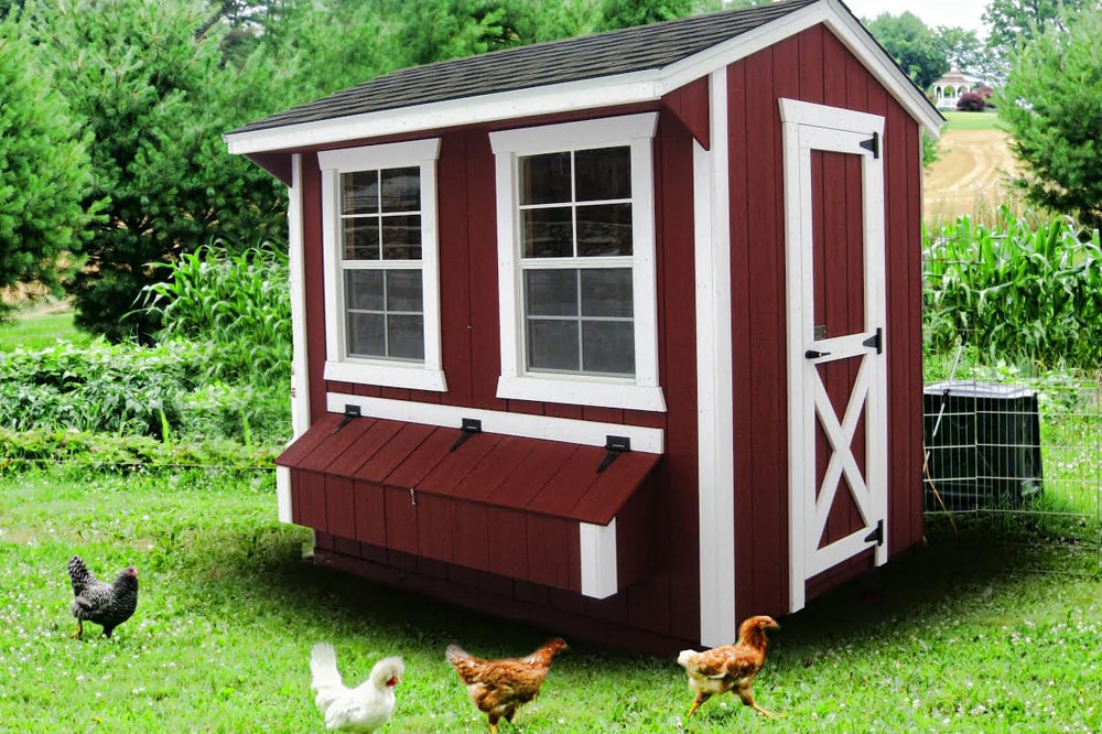 Sheds, Garages, Cabins, Poly Furniture and More at Montana Structures - Chicken Coop SheD